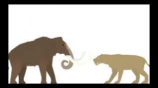 Woolly Mammoth VS Smilodon