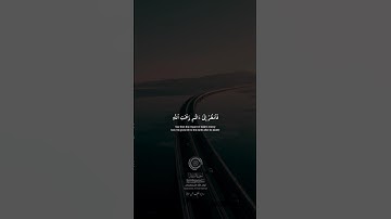 #foryou #quran #الشيخ_محمد_صديق_المنشاوي #سورة_الروم #قرآن_كريم #لا_اله_الا_الله #الشيخ_المنشاوي