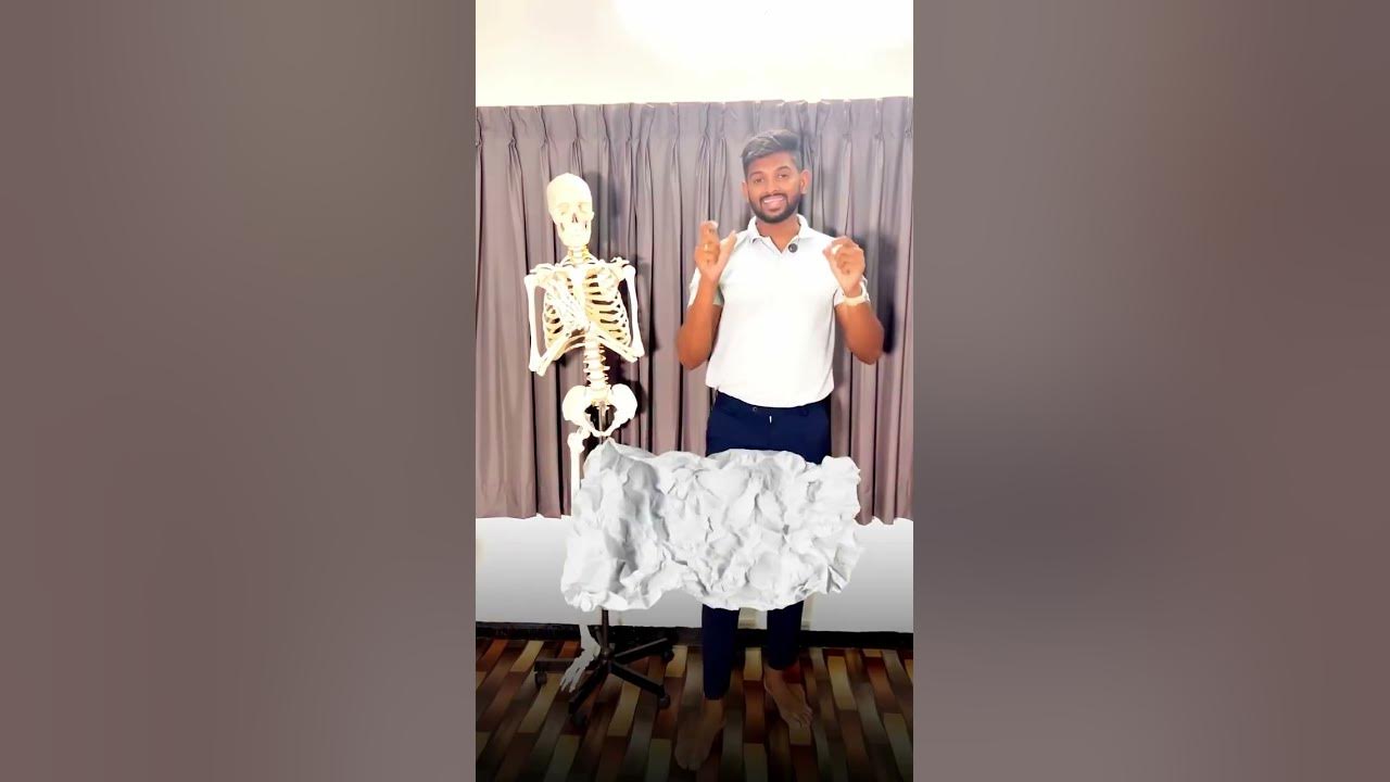 What is muscle tightness Tamil physiotherapy backpainexercises facts backpainrelief YouTube