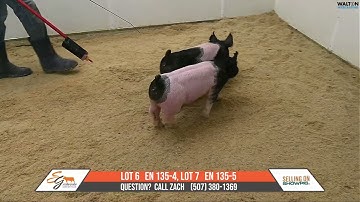 EN  135 4, 135 5 SchweckeFeb27thSale   20 February 2024   09 59 45 AM