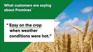 370 Prominex Testimonials  3