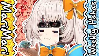 The Mask Slipped - Best of Marimari_en - Weekly Hahas