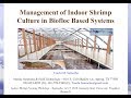 Management of indoor shrimp culture in biofloc based systems by tzachi m samocha