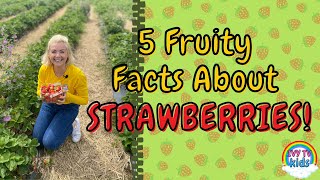5 FUN FACTS ABOUT STRAWBERRIES! IVY TV KIDS! Did You Know??? Strawberry Facts!