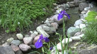 Janesville's Garden of Eden