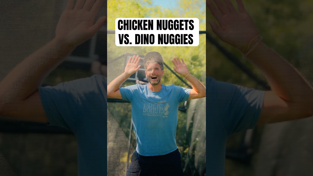 Куриные наггетсы против наггетсов «Дино»