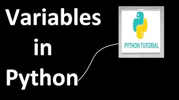 Python Tutorial for Absolute Beginners #1 - What Are Variables? by Saif Alam With Non Stop Learning