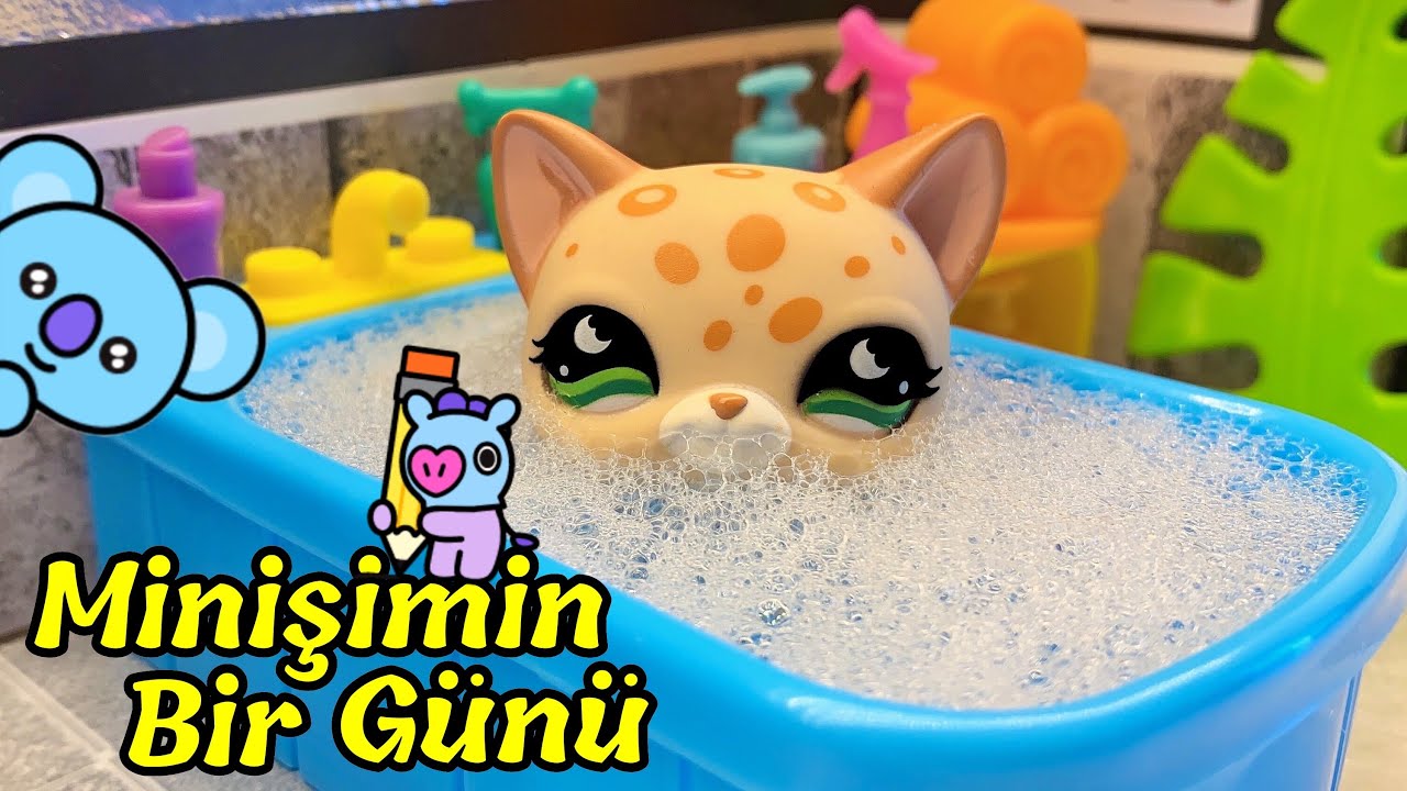 Minisimin Sabah Ve Aksam Rutini Minisler Cupcake Tv Lps Littlest Pet Shop Youtube