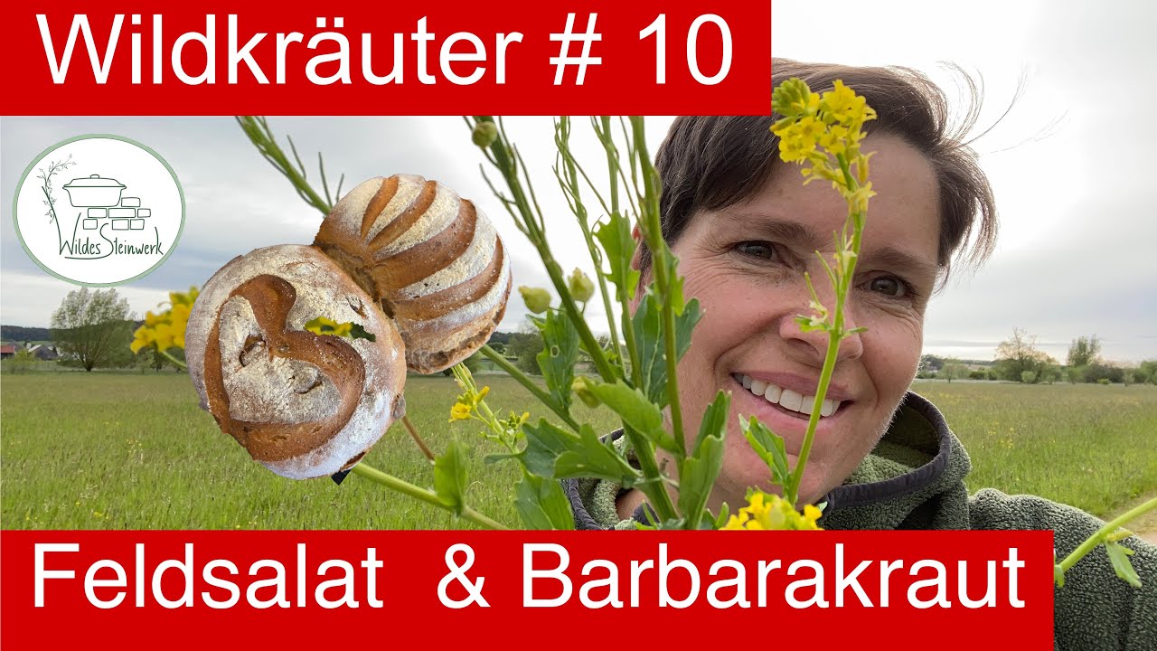 Sauerteigbrot mit nur 5g Hefe im Ofenmeister gebacken. Dazu wilden Feldsalat mit Barbarakraut!