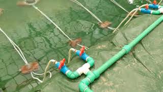 Biofloc Day 1, water preparation