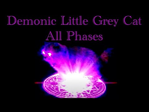 Demonic Little Grey Cat All Phases Enhanced Read Desc 