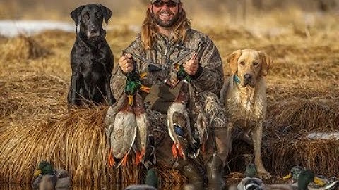 The Retriever Connection: S1 E1