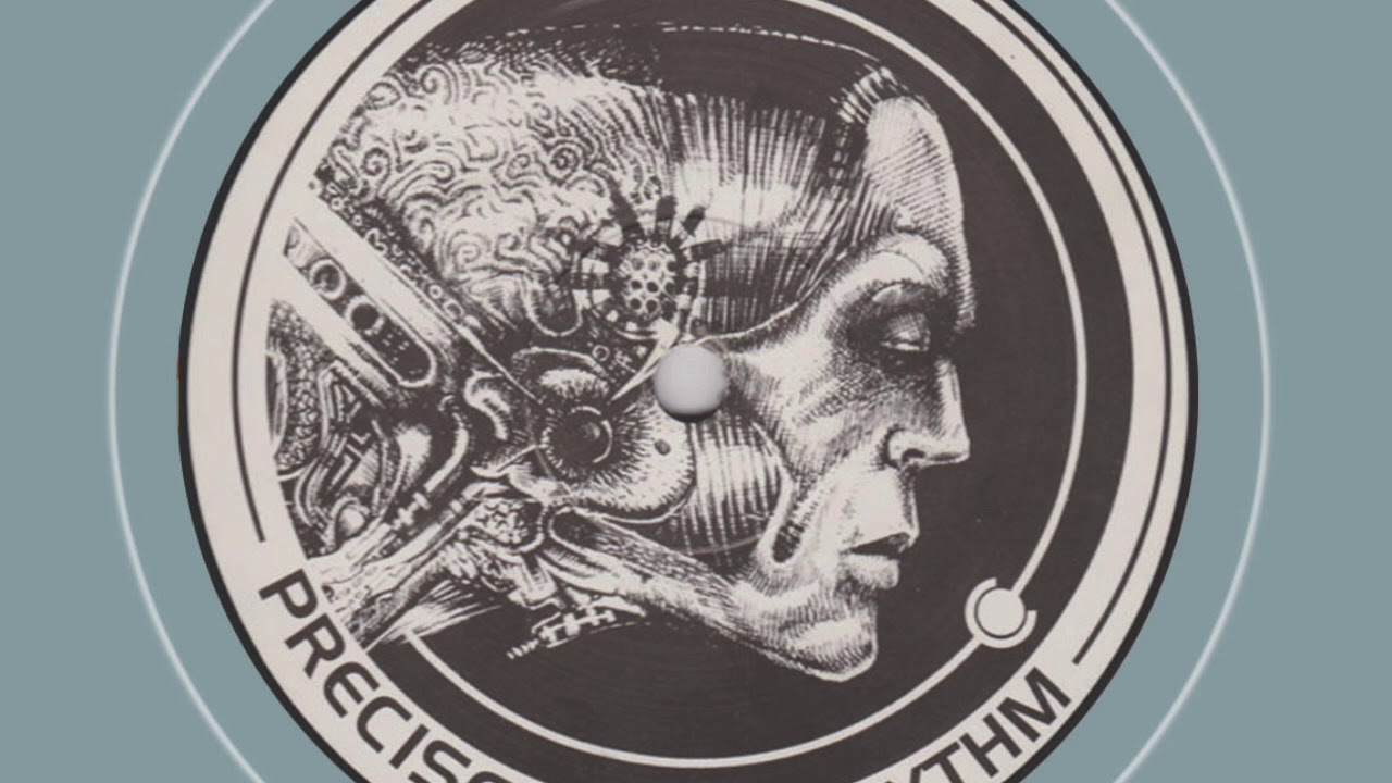 Makers Of Movement - Armadillo