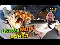 ปลากระพงยักษ์ แปดริ้ว | Giant Sea bass 10 KG.