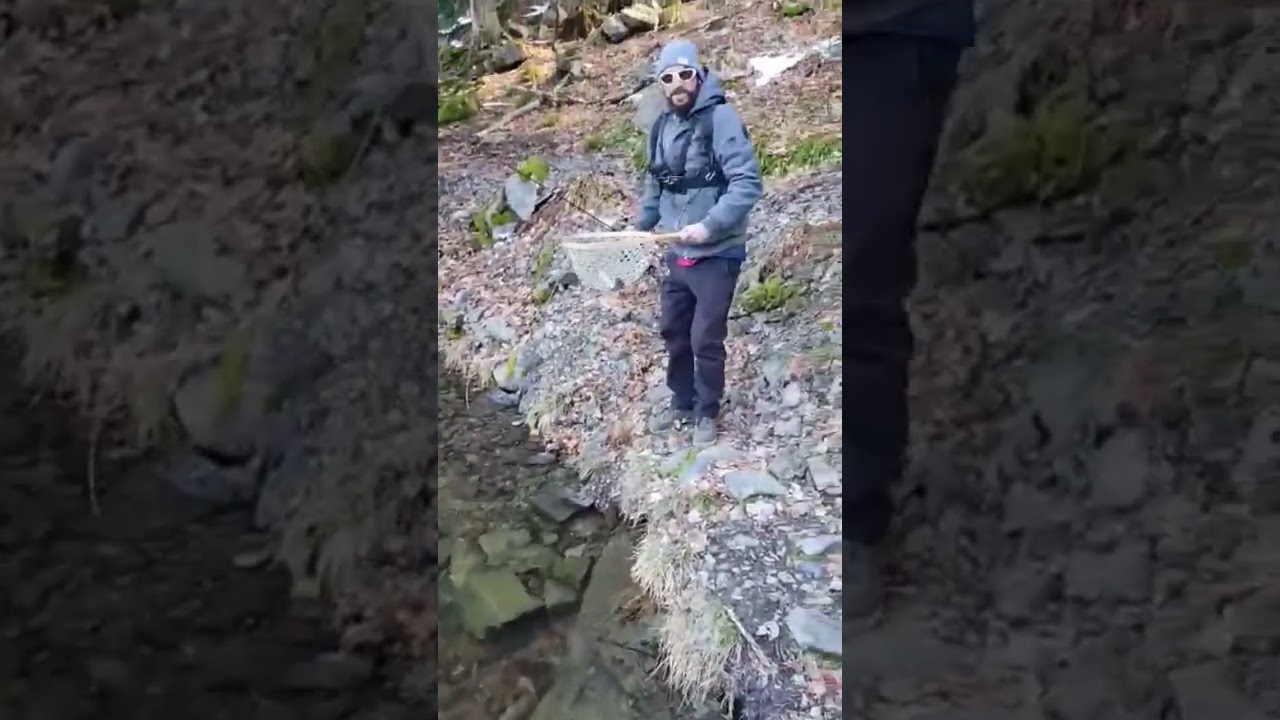 Pêche de la truite au lac du Ballon