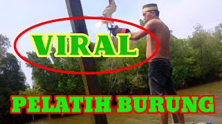 CARA MELATIH BURUNG ELANG TERBANG BEBAS