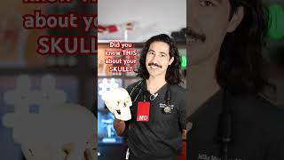 Did You Know This About Your Skull?