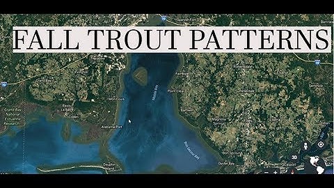 How to catch Speckled Trout - Fall Patterns