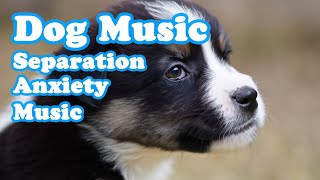 Relaxing music for dogs💖🐶 Sleep music, Separation Anxiety Music, Relax your dogs