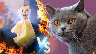 Cats vs Ghost