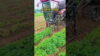 Peanut combine harvesters have a high pod-removal rate and a low breakage rate.