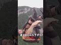ジップラインで立ち往生したら