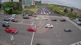 Seattle: Pedestrian Hit By Car While Being An Idiot