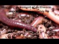 Wriggling movement or perstalsis of earthworm #NCERT#VEENA#EVS#HINDI