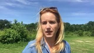 Climate Action Pledge