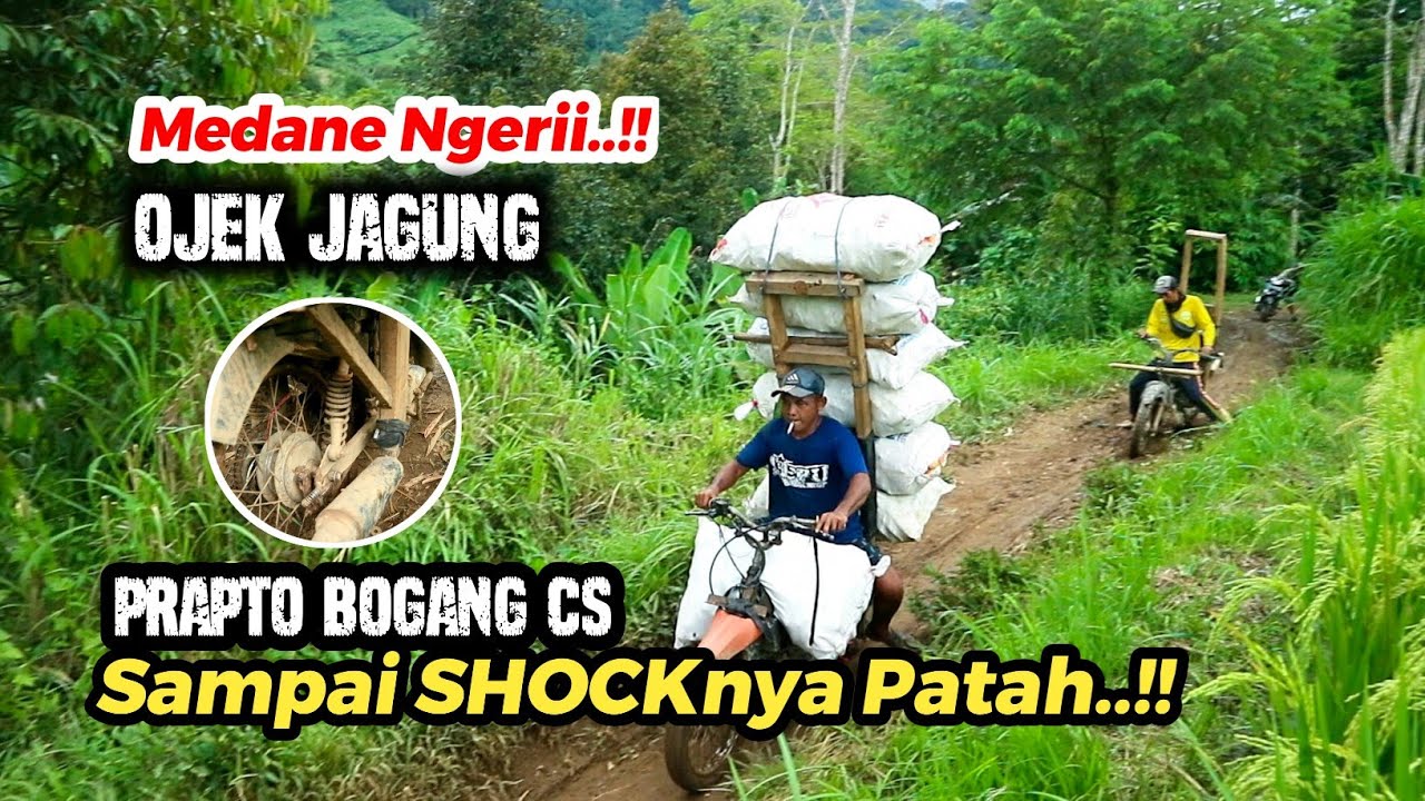 Medane Ngerii...!! Sampai Shocknya patah Pengojek jagung Prapto Bogang cs