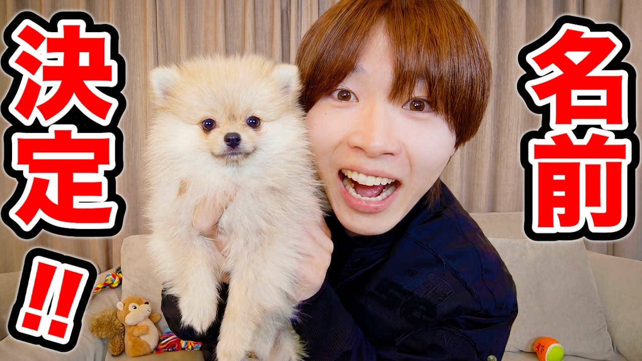 犬の名前が決まりました！