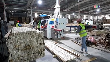 Kỳ vọng xuất nhập khẩu lập kỷ lục 800 tỷ USD