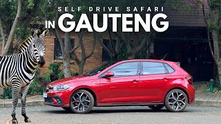 I Drove My POLO GTI in a Game Reserve | Rietvlei Nature Reserve | VLOG