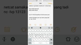 backconnect server with serveo