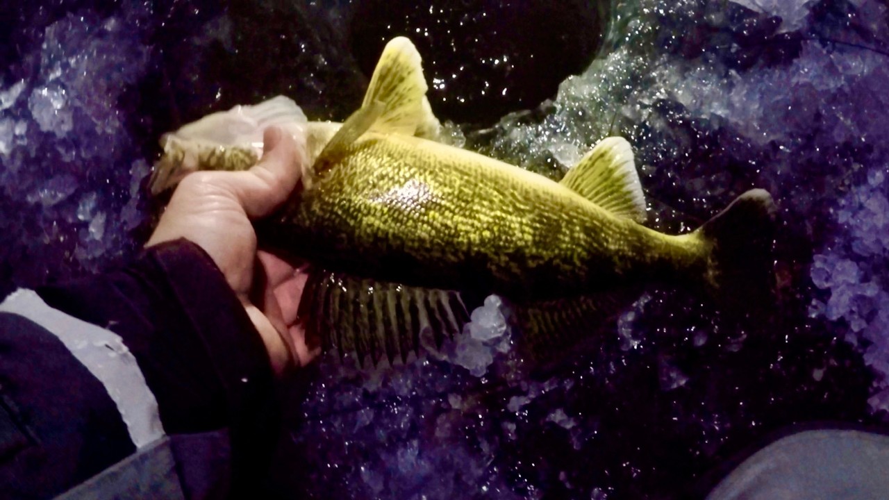 Ночная подледная рыбалка — ловля судака ночью!