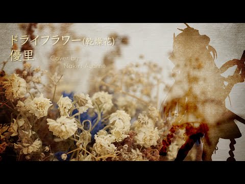 【中日字幕】ドライフラワー【百鬼あやめ/百鬼綾目/Nakiri Ayame/ホロライブ/Hololive】【音源重製/Remastered】【Vtuber 中文翻譯】