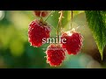 Peace begins with a smile. | Relaxing Guitar Music | for Sleep, Meditation, Stress Relief