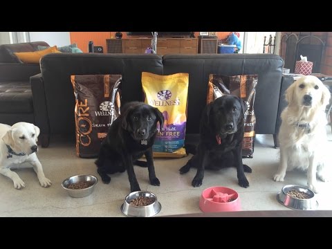 Video: Wellness Pet Food ар кандай консерваланган мышыктан жасалган азыктарды ыктыярдуу түрдө эскерет