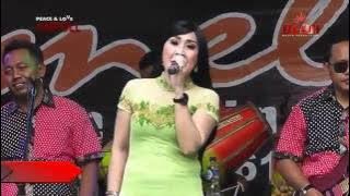 AMELIA / CAMELIA 2016 CINCIN PUTIH   Ayu Lestari (HD)