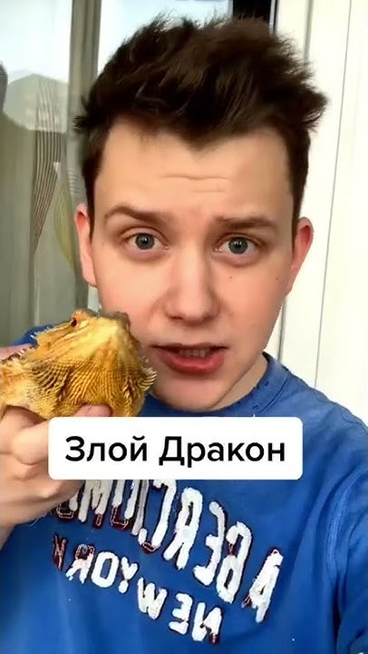 Как злится Бородатый Дракон? - YouTube