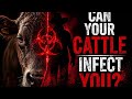 Farmers Are Exposed to These Diseases Every Day — Here's Why