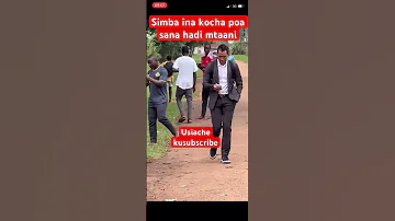 Kocha Wa Simba Fadlu Devis Akipiga Picha Mtaani Na Shabiki Wa Yanga Simbaleo Simba Simbasc 