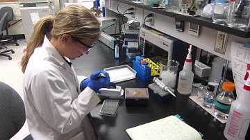 NSF GRFP "Creating the Future" Video Contest: Safe Global Water