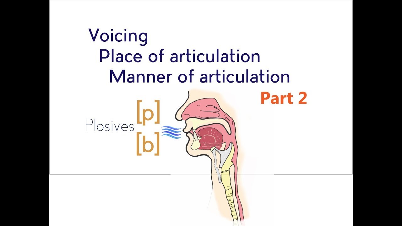 Voicing, Place & Manner of Articulation - Part 2 - YouTube