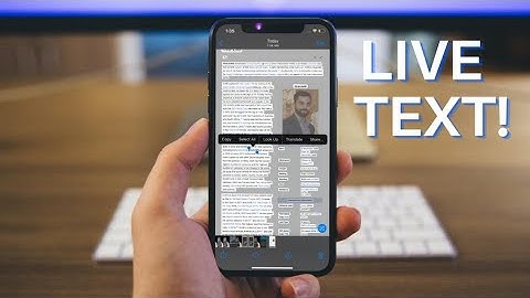 How to Use Live Text in iOS 15 on iPhone and iPad