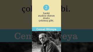 Şairlerden Özlü Sözler