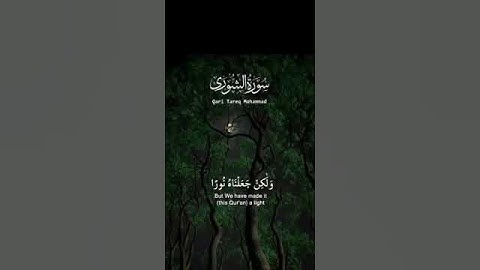 وَكَذَلِكَ أَوْحَيْنَا إِلَيْكَ رُوحًا مِنْ أَمْرِنَا مَا كُنْتَ تَدْرِي مَا سورة الشورى الآية 52