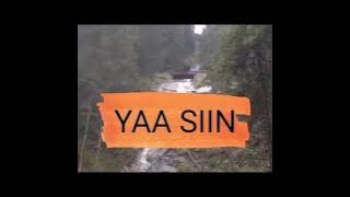 Surah Yaasiin Dalam Rumi