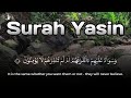 Relieve Stress & Anxiety | Surah Yasin Complete Recitation for Inner Peace