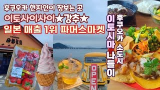 【후쿠오카 소도시 이토시마】이토시마에 일본 매출 1위 파머스마켓이 있다! 장보기 강추★현지인이 사랑하는「이토사이사이」이토시마 맛집, 고민가 카페, 이토시마Vlog